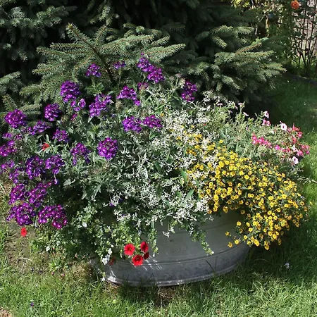 Appartamento Mit Eigener Terrasse In Wismar, Cleaning Included