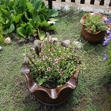 Mit Eigener Terrasse In Wismar, Cleaning Included *
